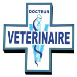 800x600_clinique-veterinaire-de-l-europe-4844